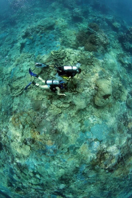  Franziska researched at the Palmyra Atoll for her PhD, one of the remotest places in the world. 