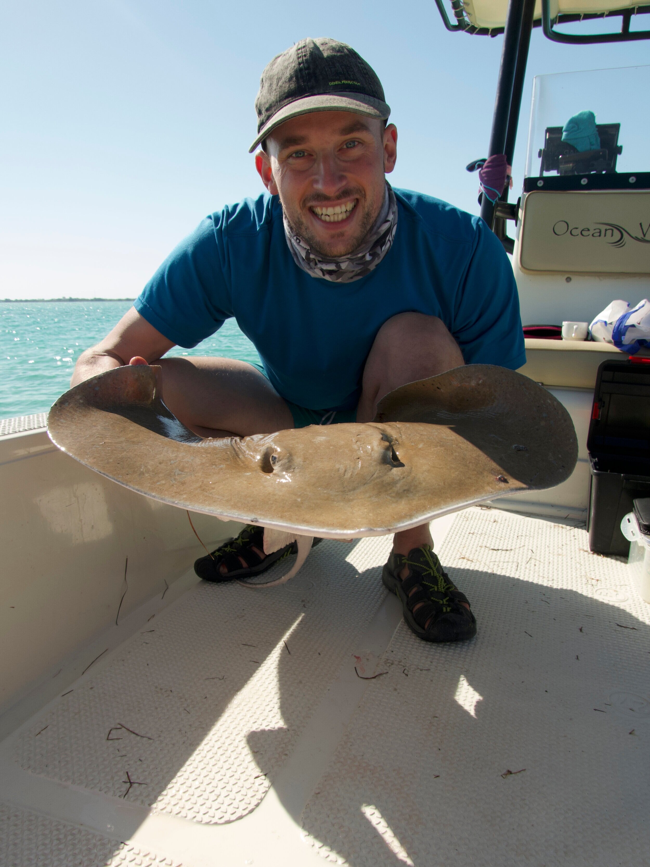  This unidentified ray could be a new species! 