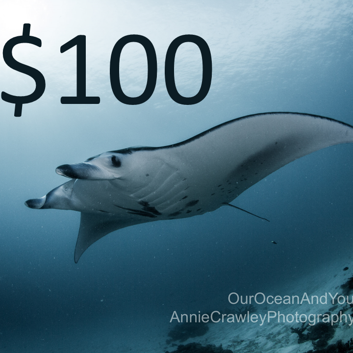 Manta Ray Level Sponsor