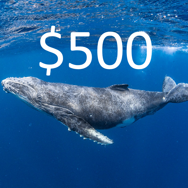 Humpback Whale Level Sponsor