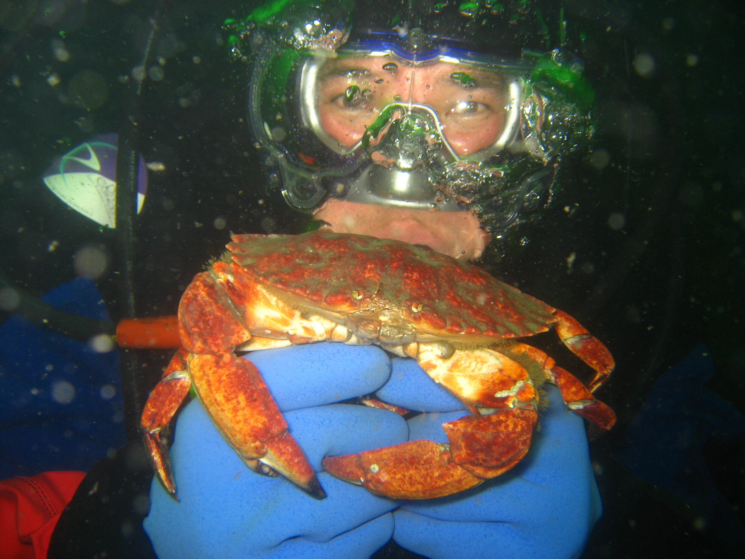  Dr. Alan Verde studies symbiosis in invertebrates. Photo by Dr. Jim Nestler. 