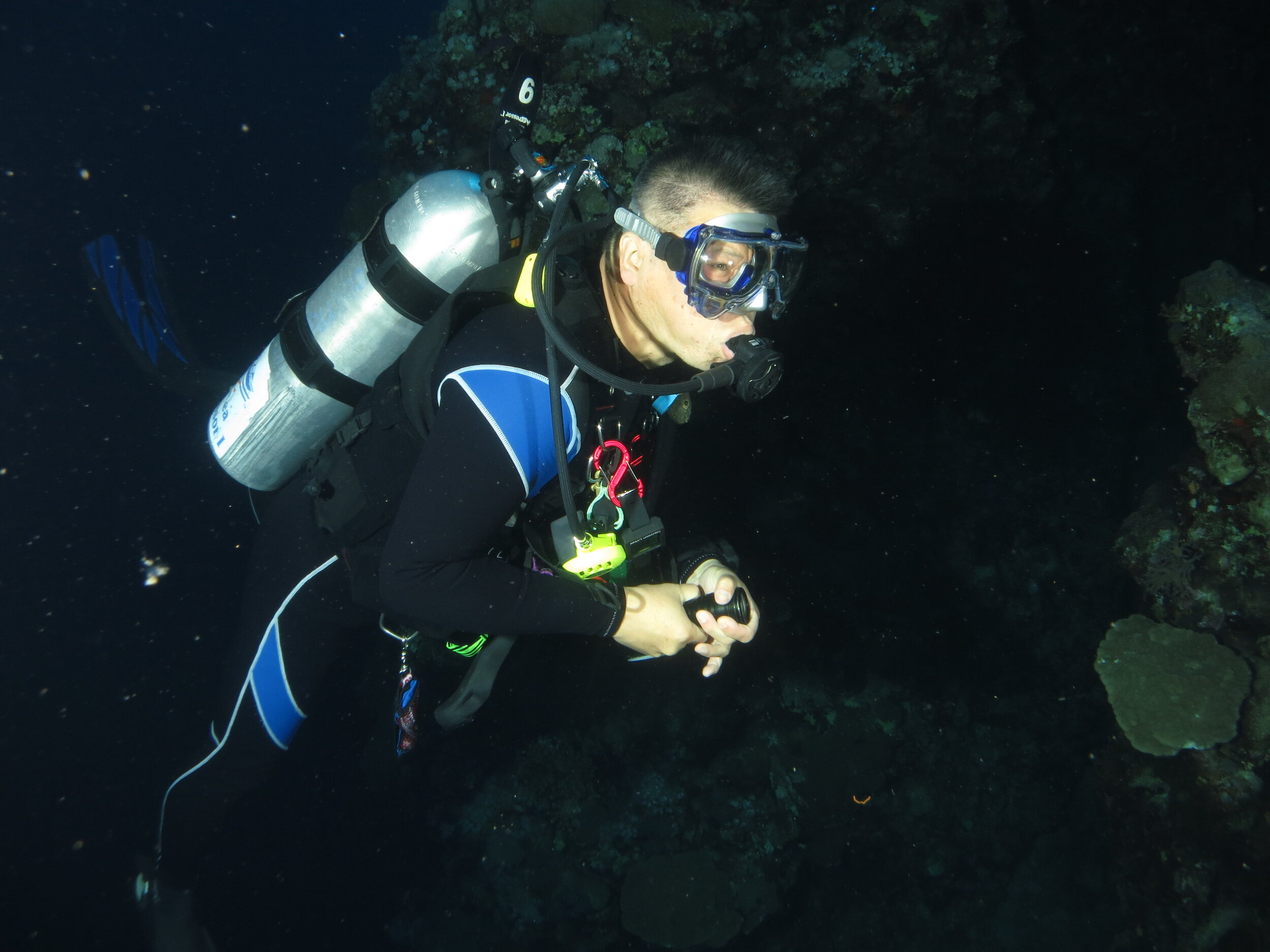  Night diving while conducting research in Egypt in 2019. 