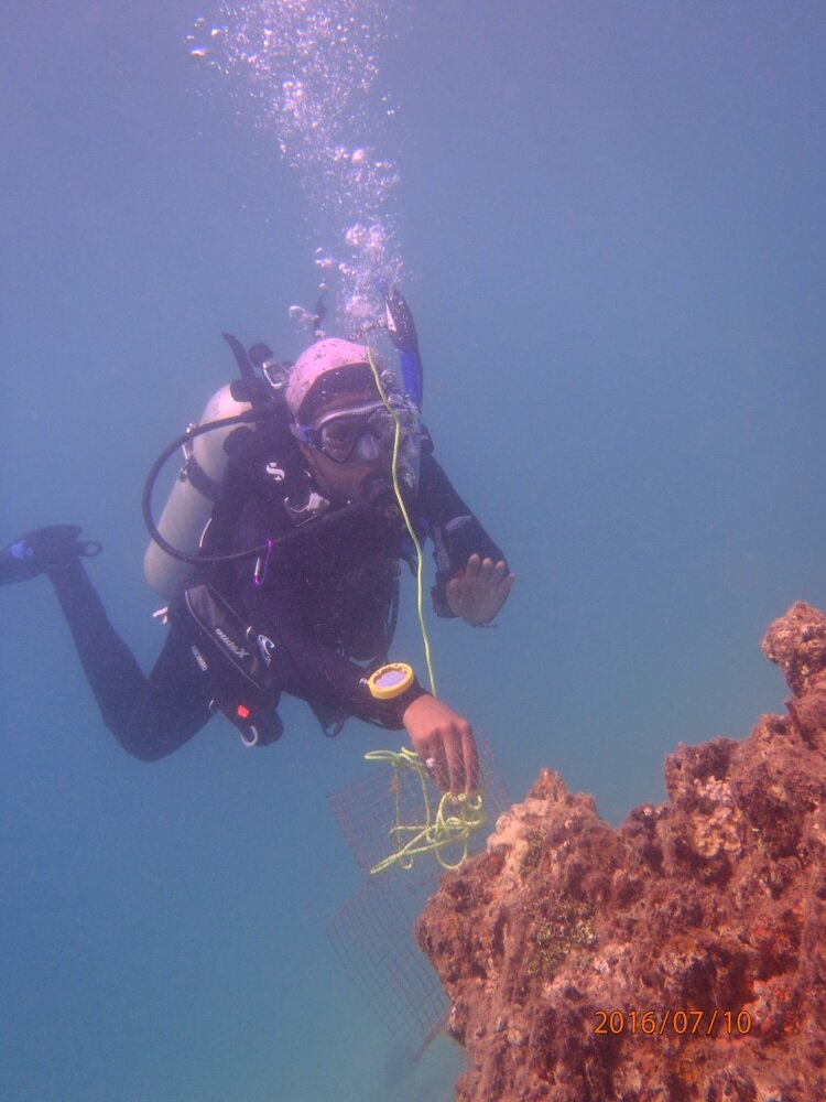  She learned to dive as a sophomore in college. 