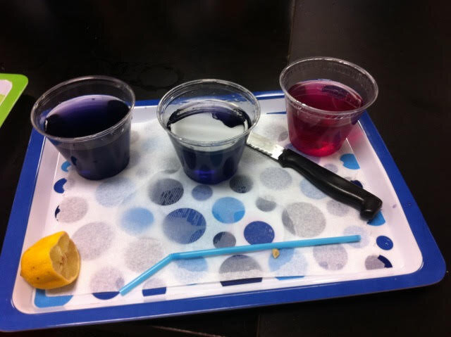  'Ocean Acidification in a Cup’ (Meg’s purple cabbage juice demonstration)—check it out in the PLANET OCEAN Educator Guide! 