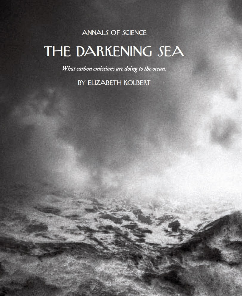  The article that inspired Meg, titled 'The Darkening Sea' by Elizabeth Kolbert. 