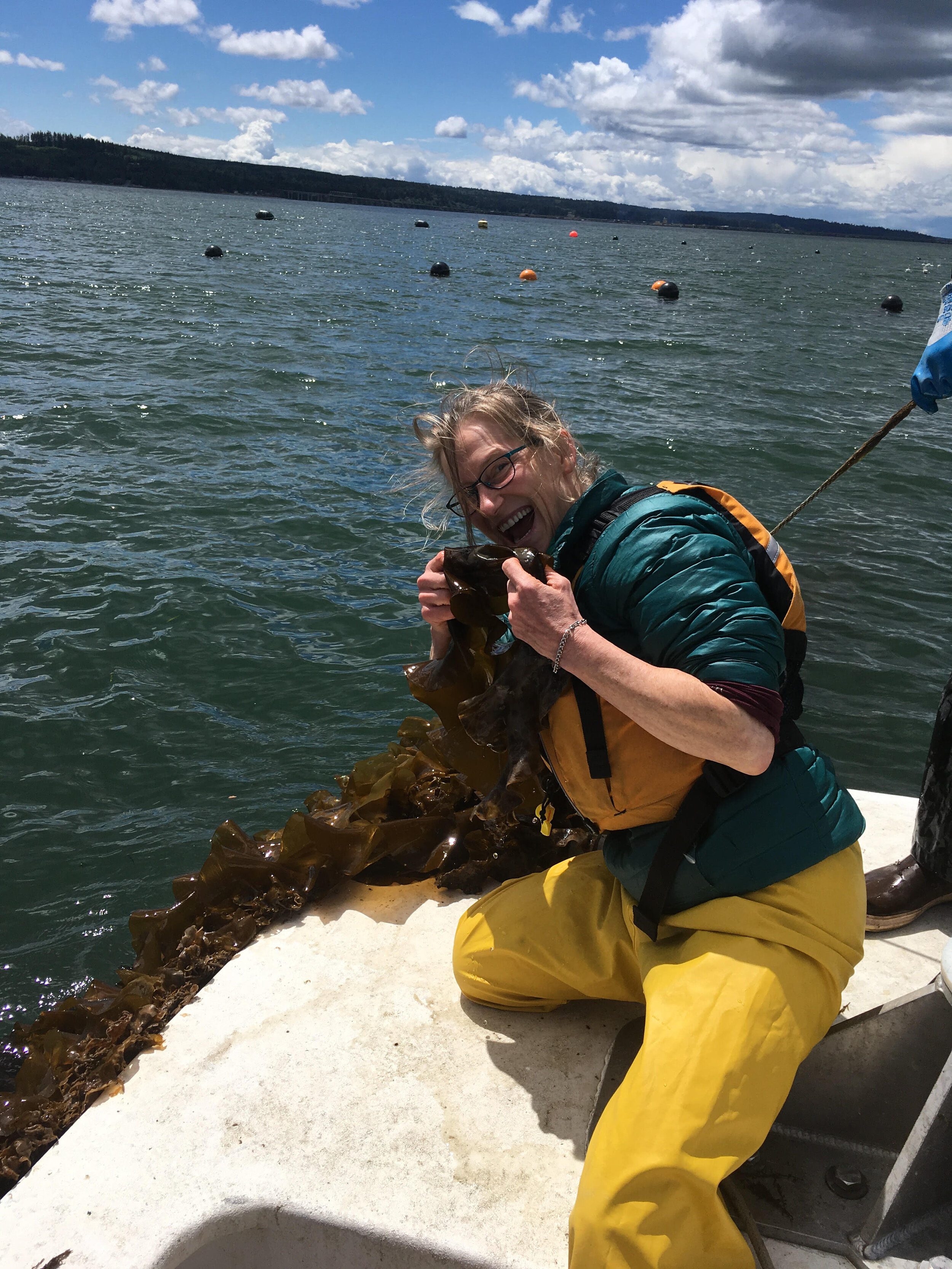  Taking a bite of sugar kelp from a hood canal seaweed farm. 