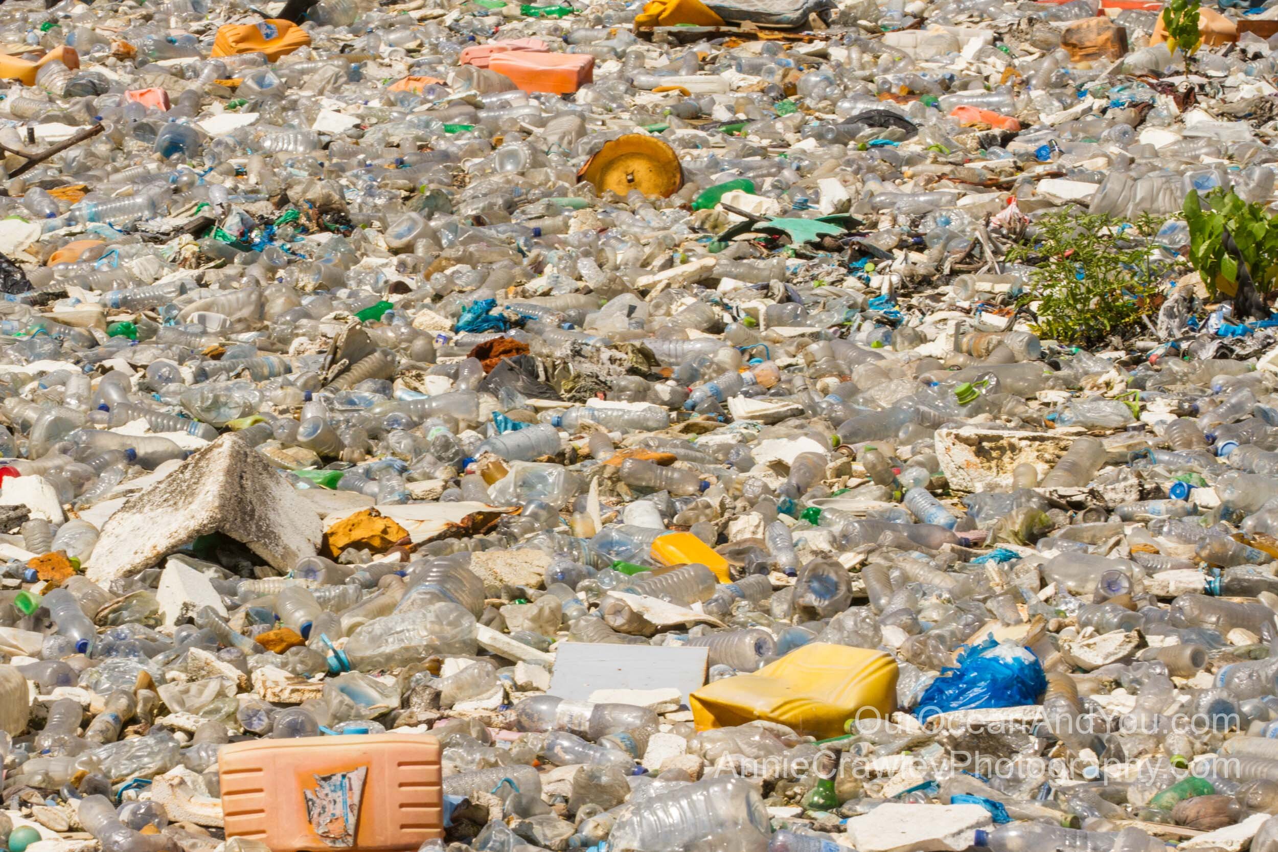 11 million metric tones of plastic enters our ocean every year. (Copy)