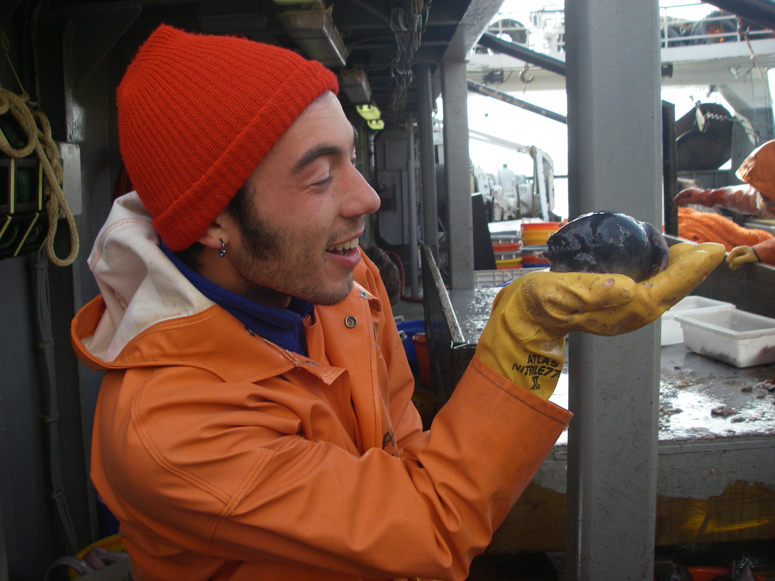  Thaddaeus with a smooth lumpsucker ( Aptocyclus ventricosus ) that was collected as part of a survey of benthic fishes in the Gulf of Alaska. 