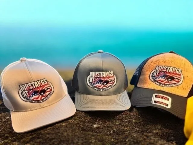 MUSTANGS AT DAYTONA TRACK LOGO HATS