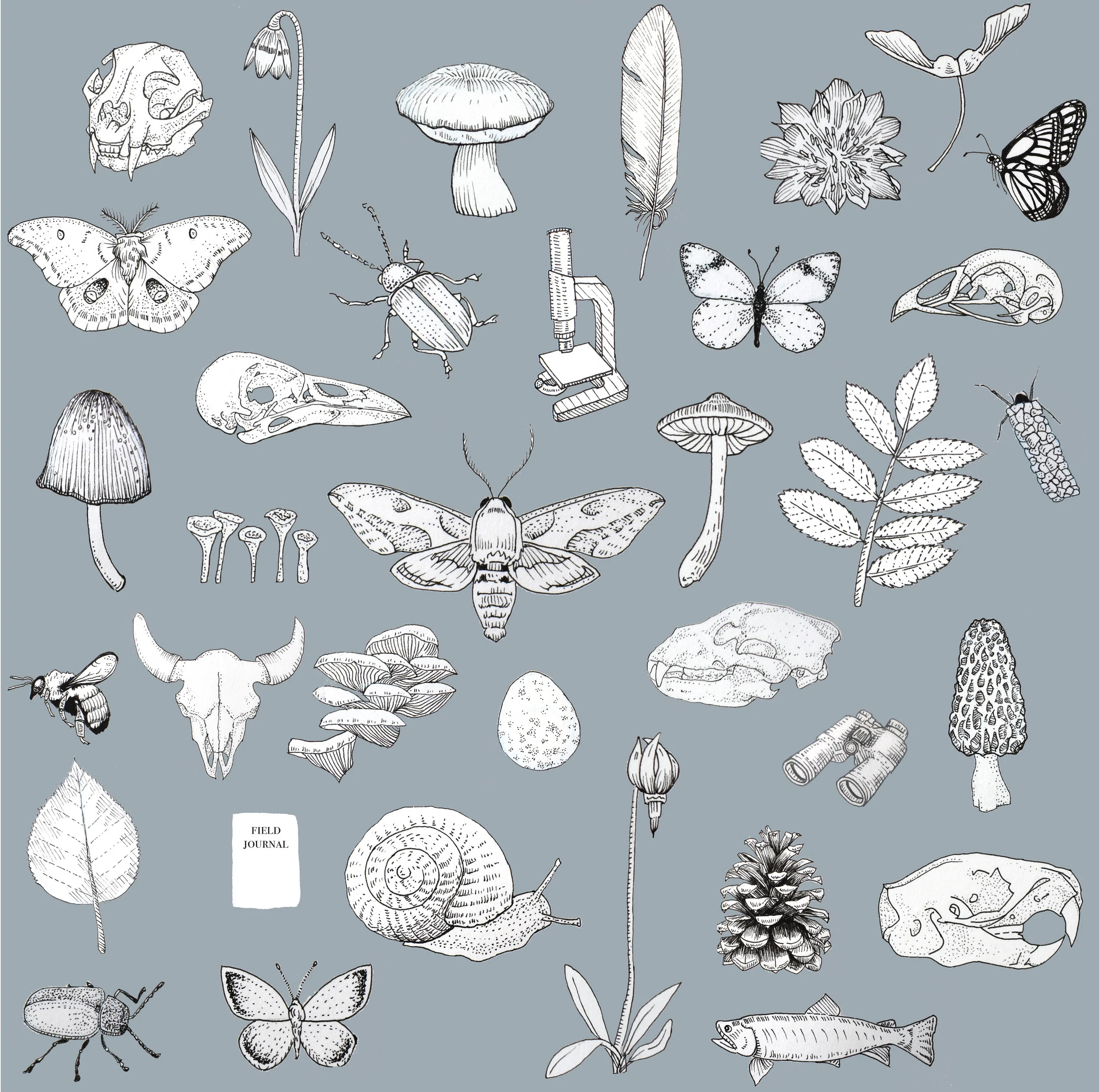 AllThePattern copy.jpeg