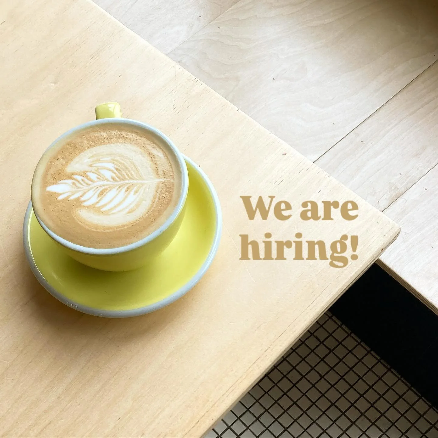 If you like slinging coffee and making cookies (or want to learn how), shoot us a resume at info@fifthchute.com. Better yet, stop in so we can meet you!

Must be available Tuesday to Saturday beyond the summer.