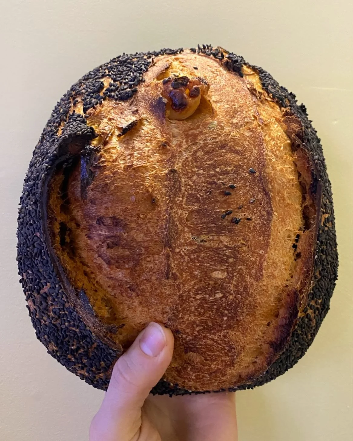 Gochujang loaf! Run!