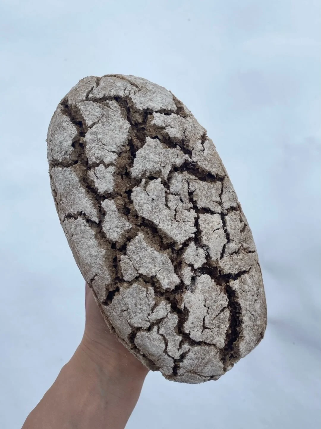 This weekend&rsquo;s special loaf is Danish Rye (rugbr&oslash;d). This is 100% rye flour sourdough, with cooked rye kernels, both from @k2milling . 

Very dense and dark, this bread is best sliced very thin to be used as a vehicle for whatever toppin