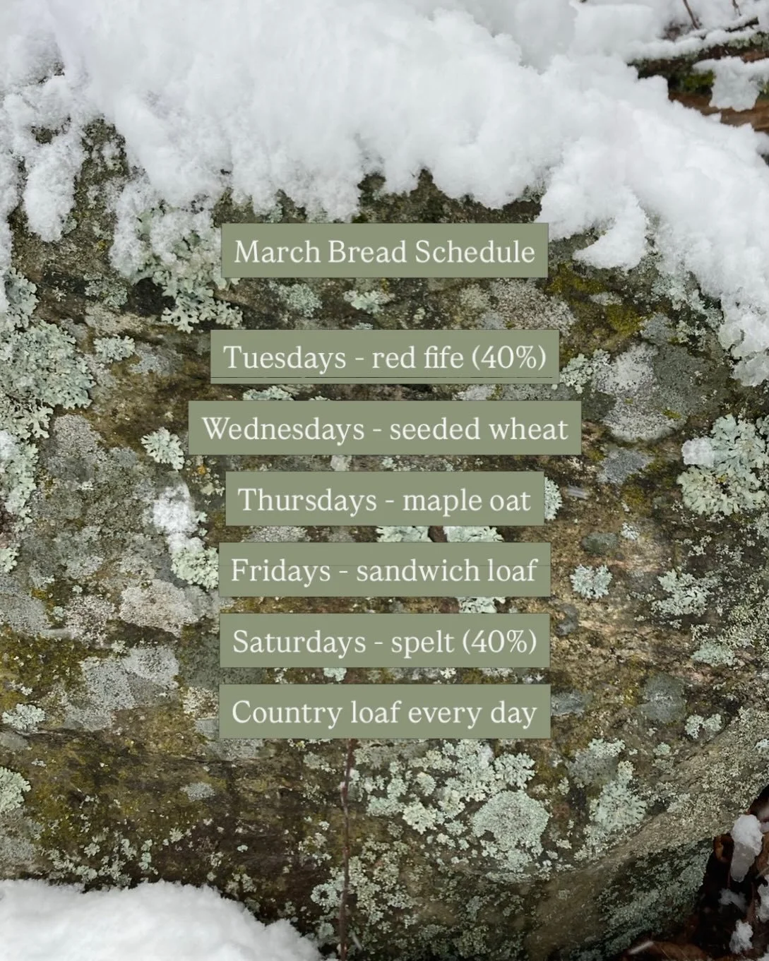 All sourdough, always. 

Preorder in our website; there you&rsquo;ll also find our weekend specials and baked goods offerings for the month!