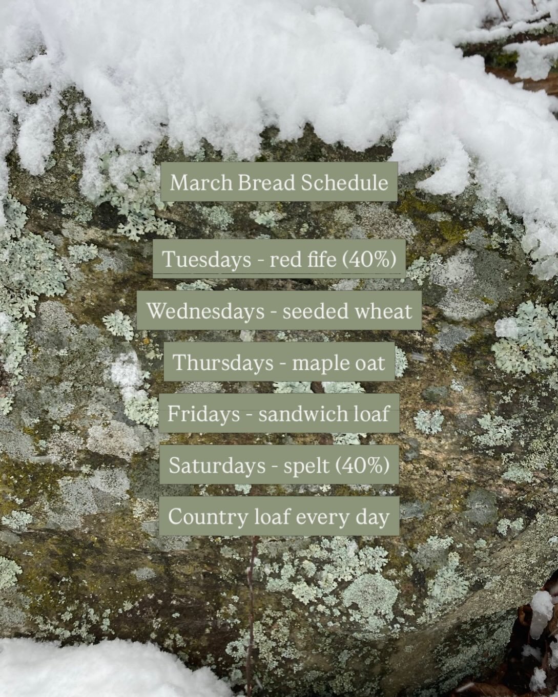 All sourdough, always. 

Preorder in our website; there you&rsquo;ll also find our weekend specials and baked goods offerings for the month!