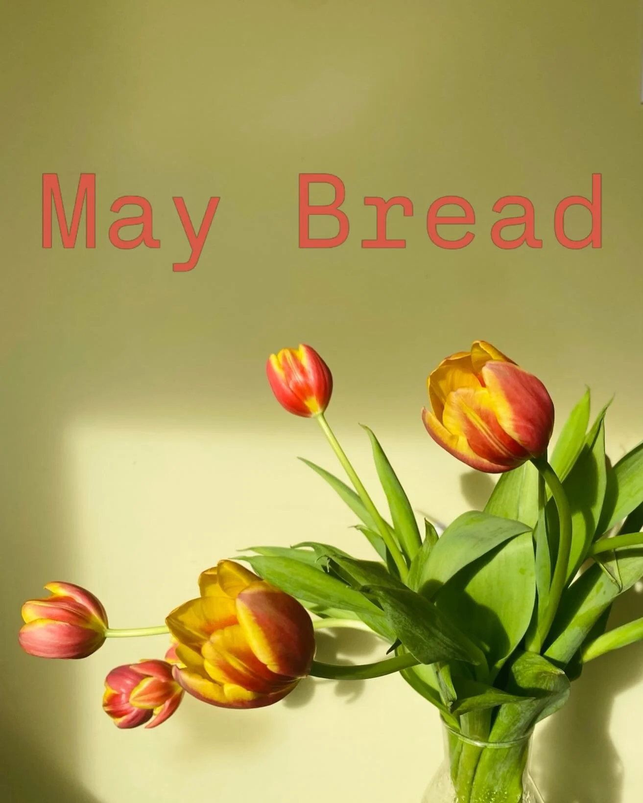 Country Loaf Every Day

Tuesdays - spelt
Wednesdays - seeded wheat
Thursdays - red fife 
Fridays - sandwich loaf
Saturdays - multigrain pan loaf

Weekend Specials
May 1/2 : Garlic and Herb
May 8/9 : Mothers Day Weekend! Raspberry Almond Babka
May 15/