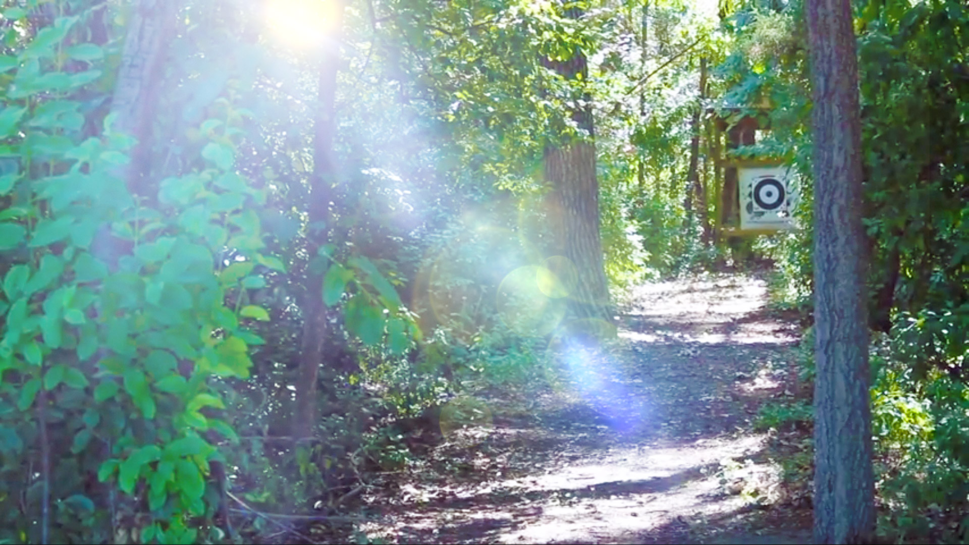 FealdArchery-Header1.jpg