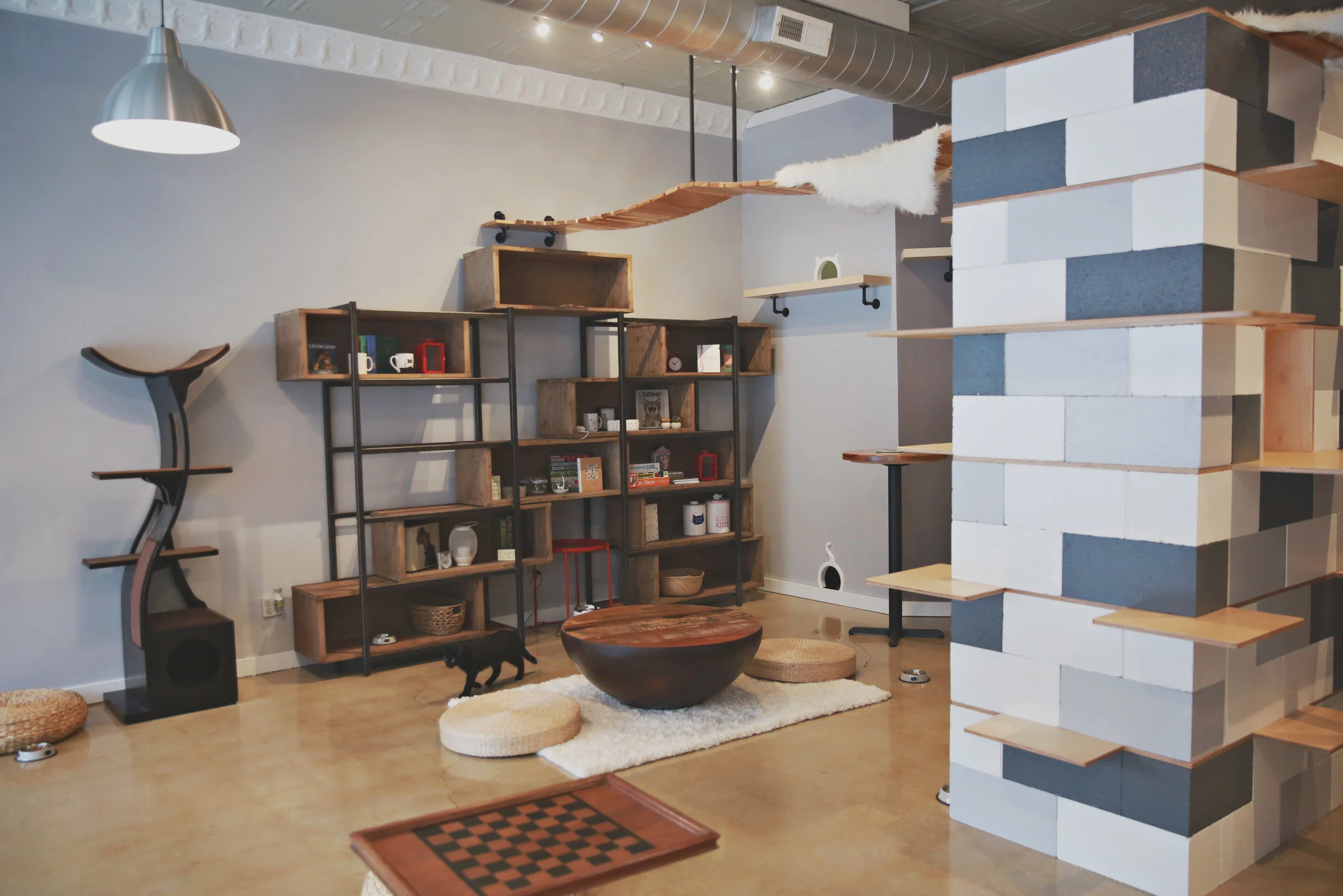 Whiskers Cat Café and Coffeehouse