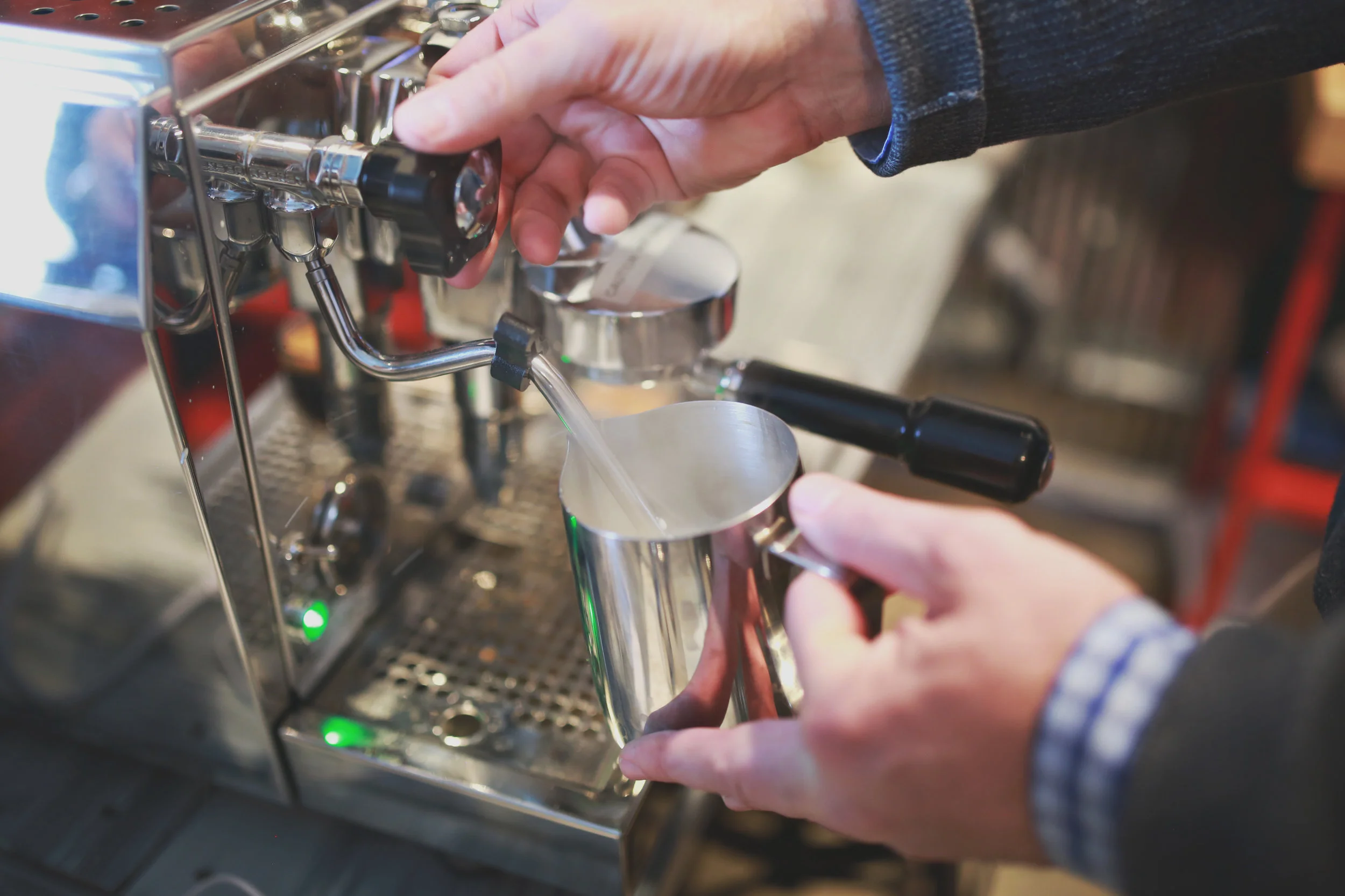 Whiskers Cat Café and Coffeehouse