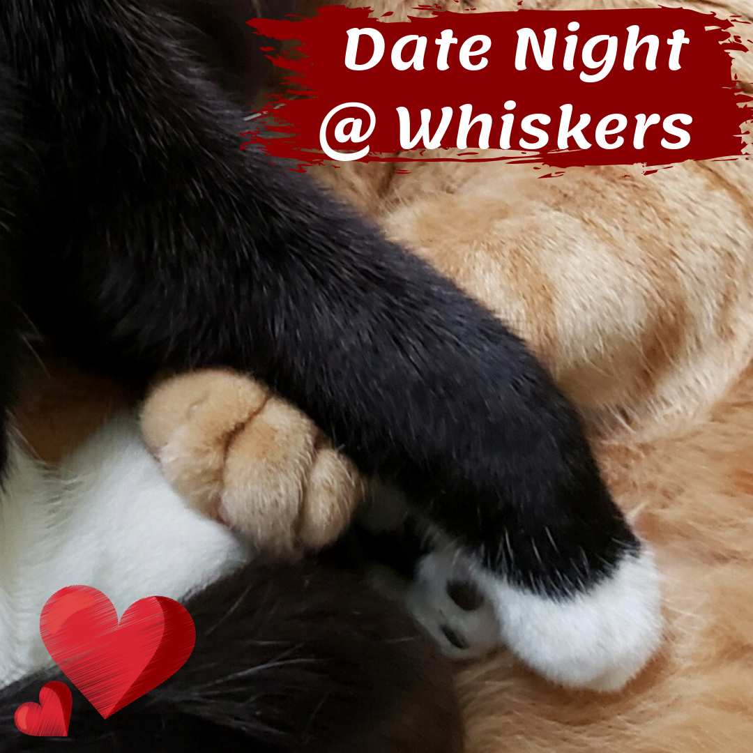 DateNightPic2.png