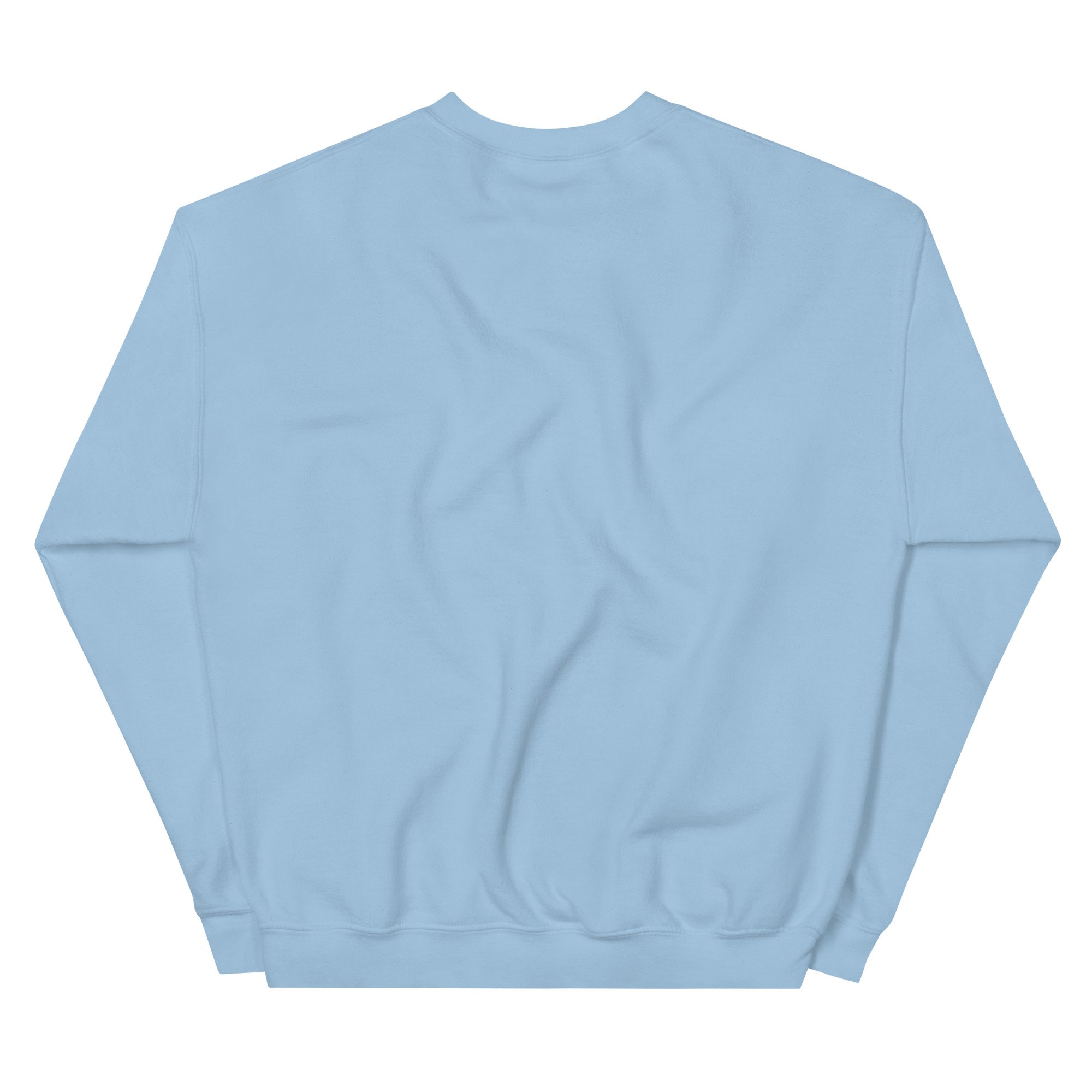 unisex-crew-neck-sweatshirt-light-blue-back-691273fae97f9.jpg