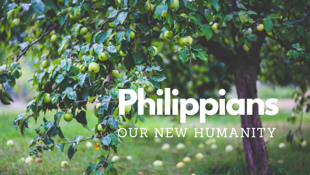 Philippians cover art.png