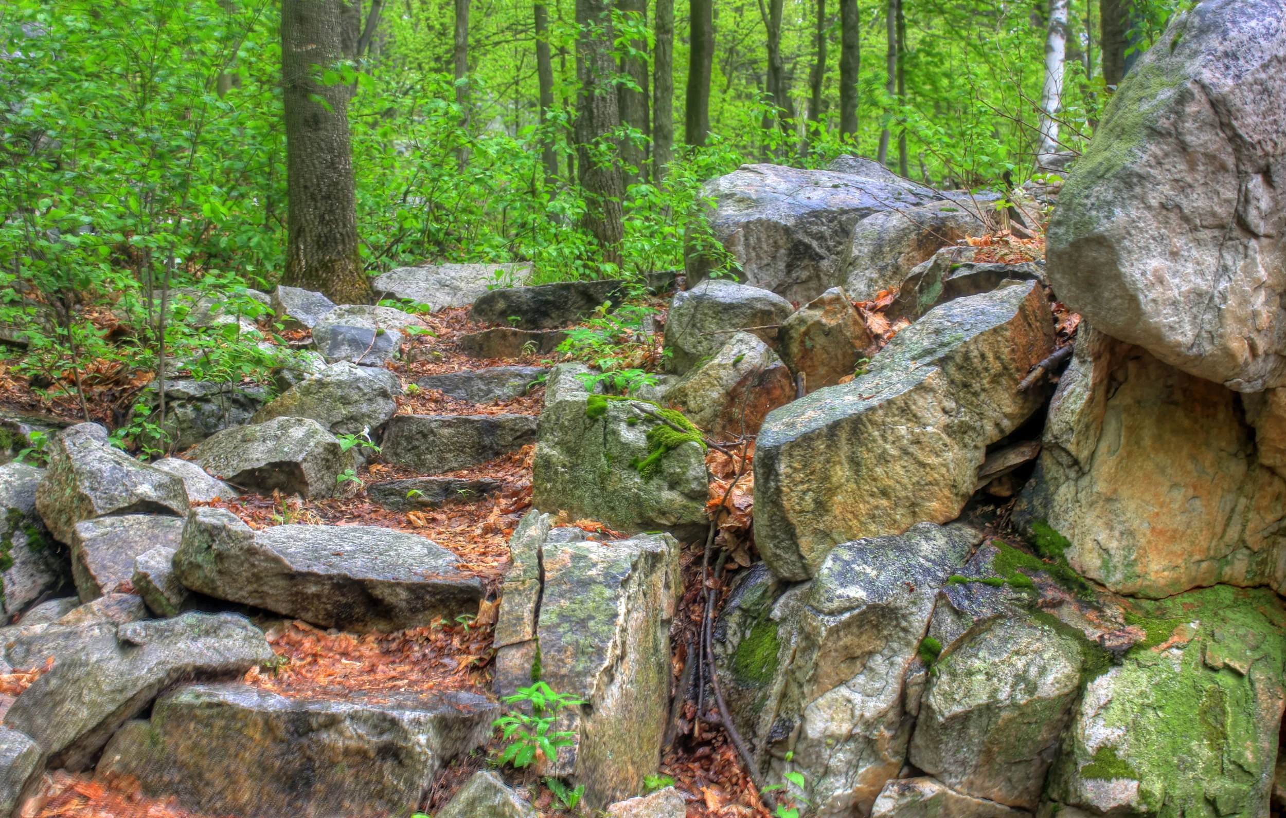 Becoming a Card Carrying Griever And Save Yourself Some Grief