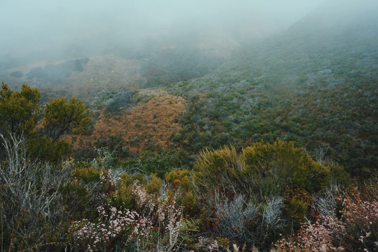 Run from the Grief Counselor's Office If You Hear These Statements