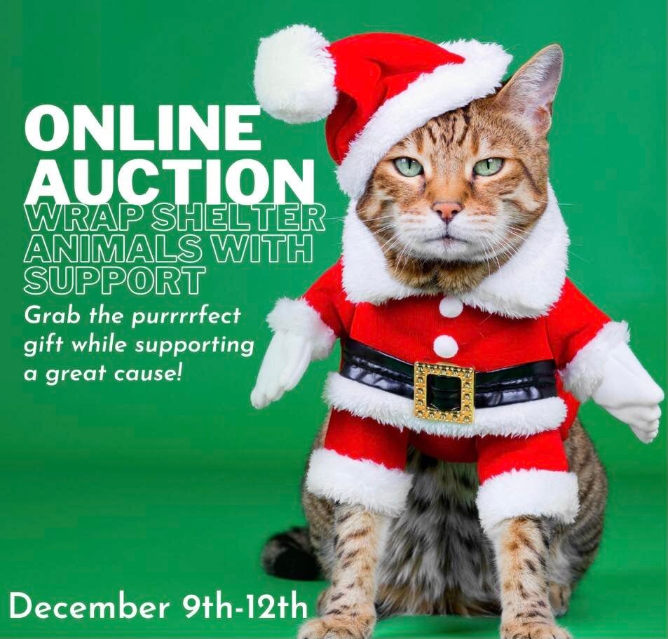 Our Work — FMCSA: Friends of Multnomah County Shelter Animals Our Work — FMCSA: Friends of Multnomah County Shelter Animals
