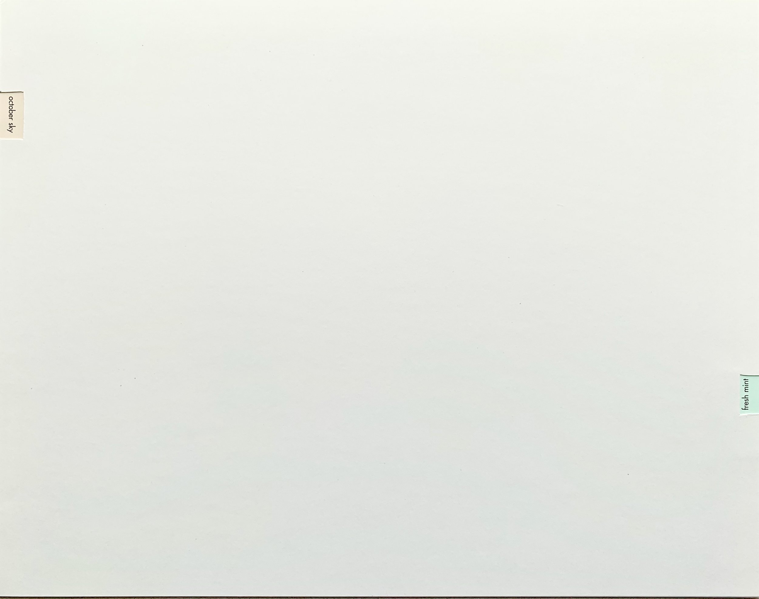 8DC19407-A771-46FE-B065-BDDFB6090450.jpeg