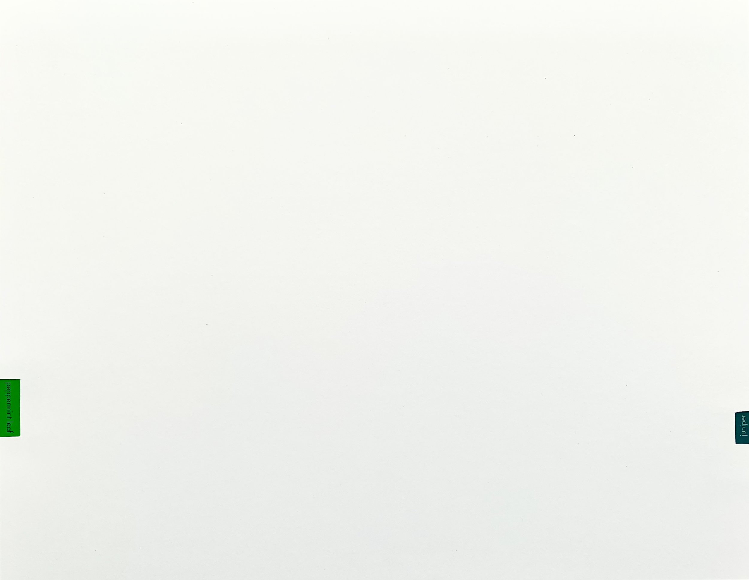 111A9322-B257-4822-BD6E-7124BEEA27C8.jpeg