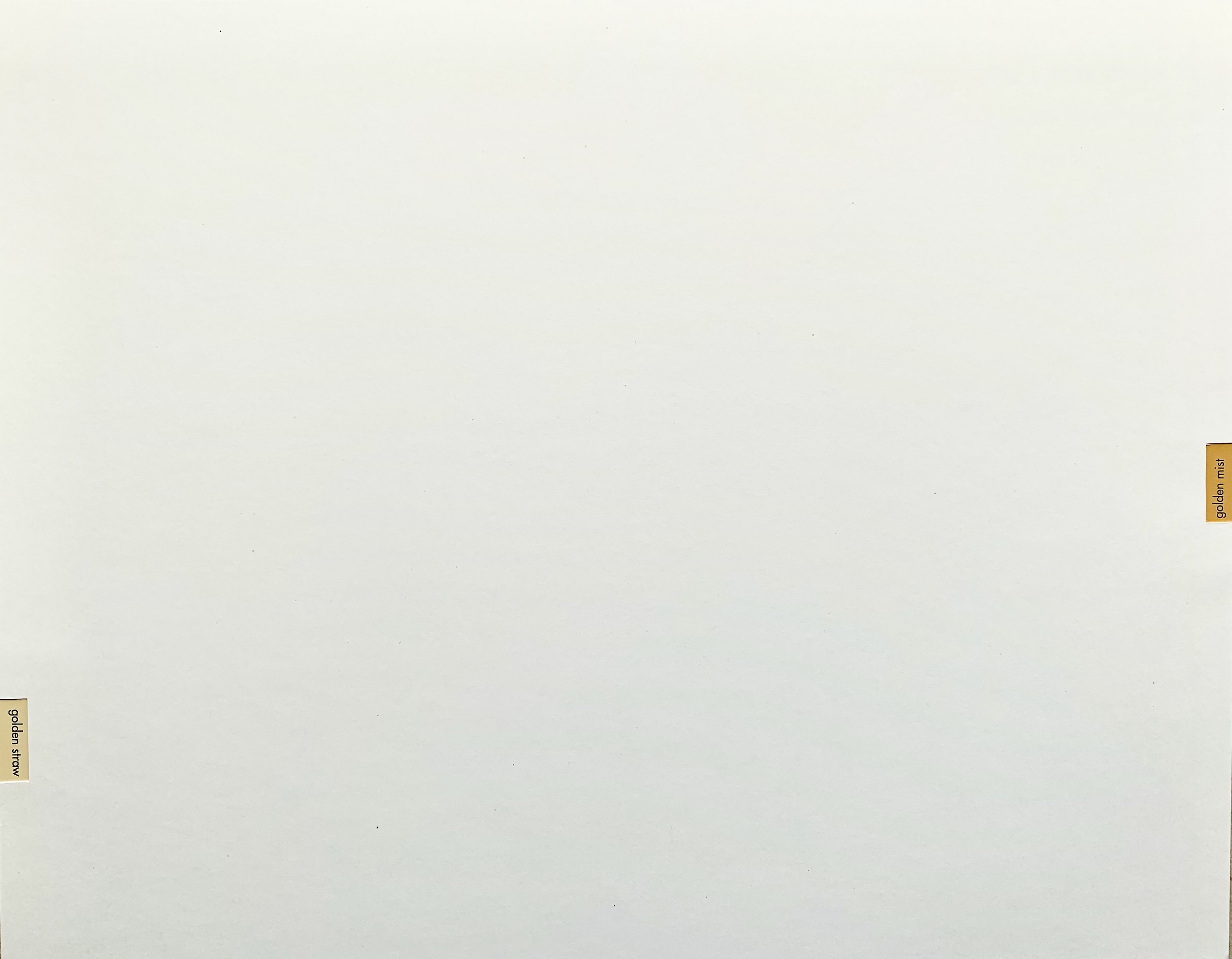 5B24C450-5FBC-41A7-8AE6-6DBBC40BA57D.jpeg