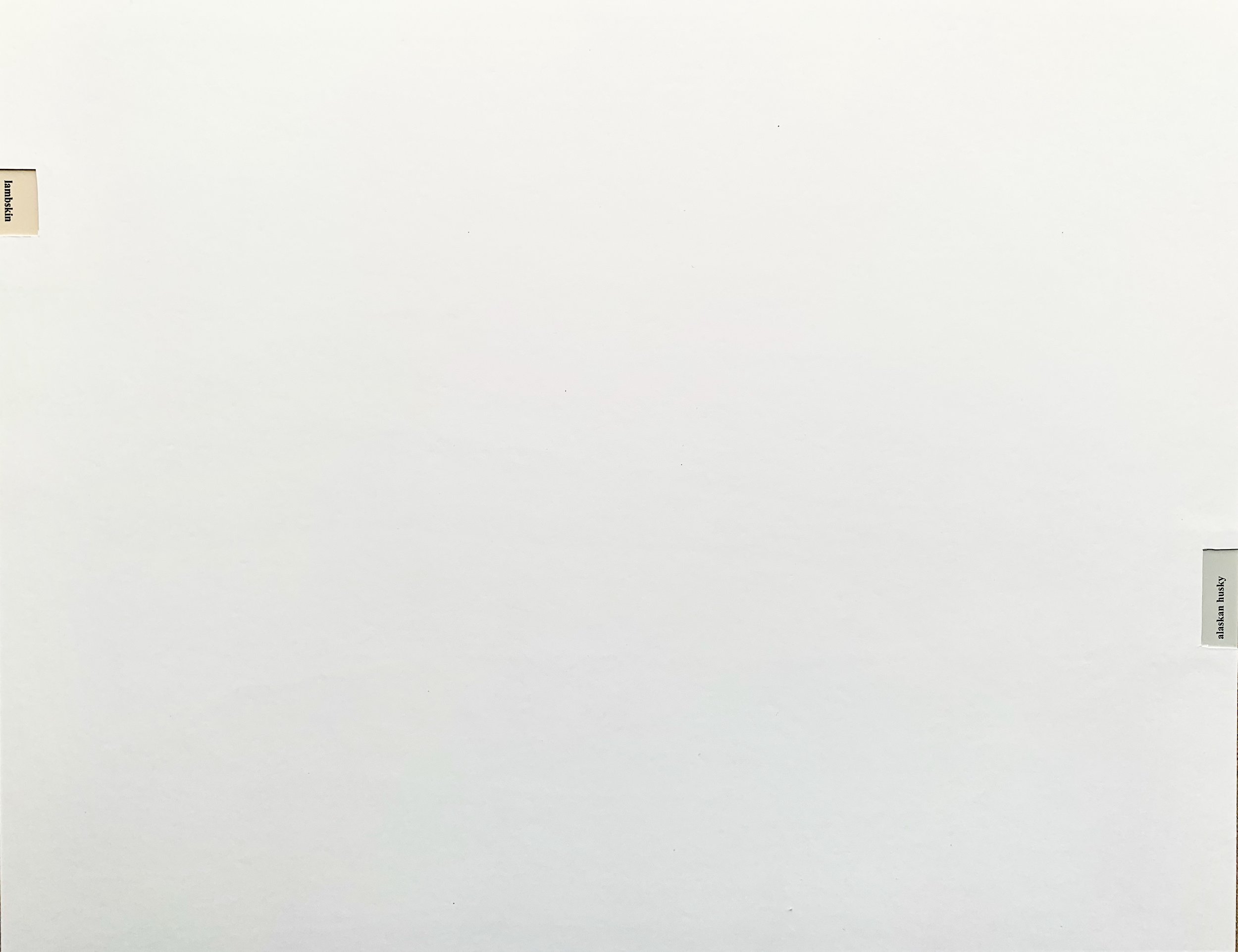 959C50EF-F45B-4F7C-BBA5-4D5EE8688FF4.jpeg