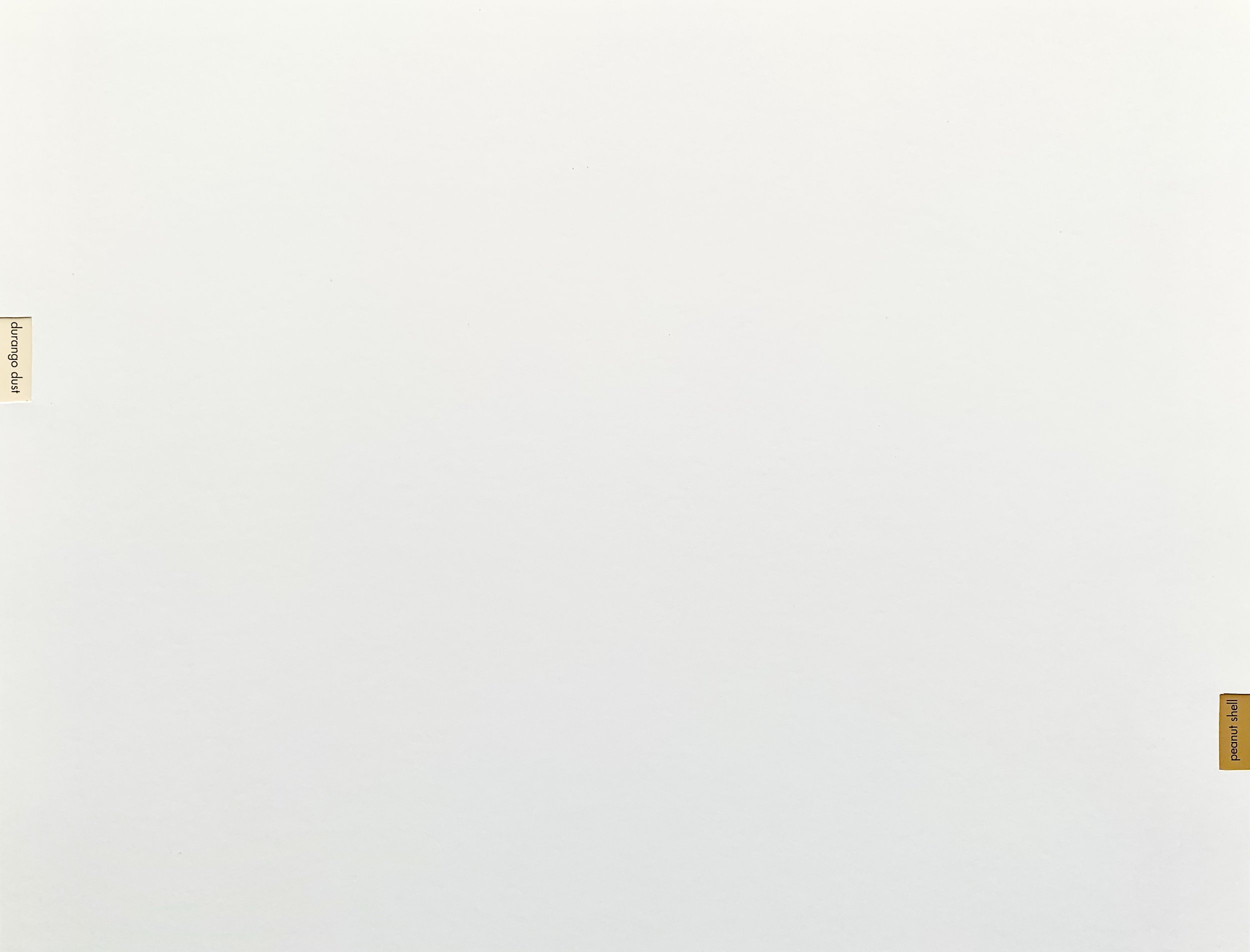 2F998A7D-0593-4296-B2DA-A21D7FD685E9.jpeg