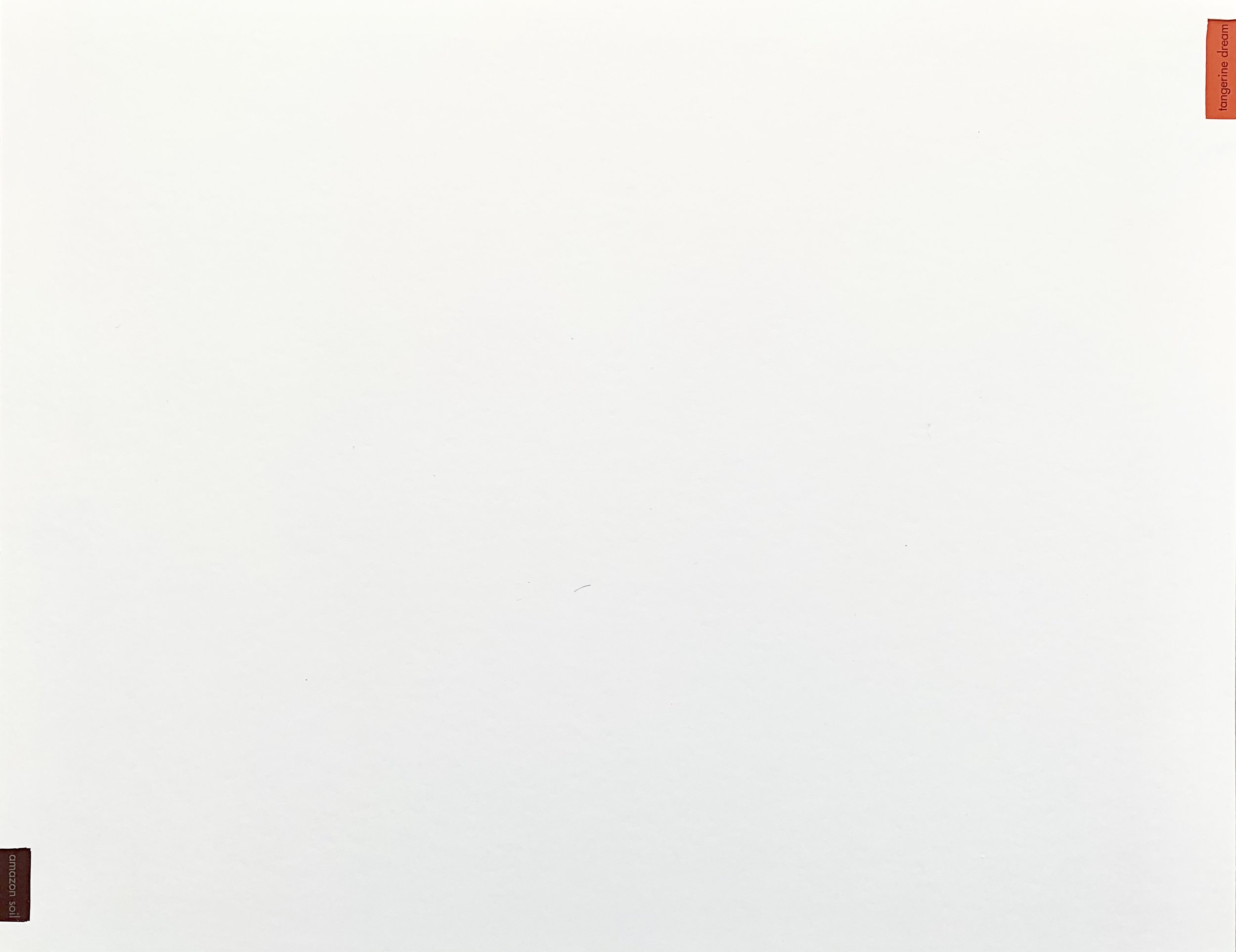 89FDC036-BF61-4CCA-9843-C172521C5549.jpeg