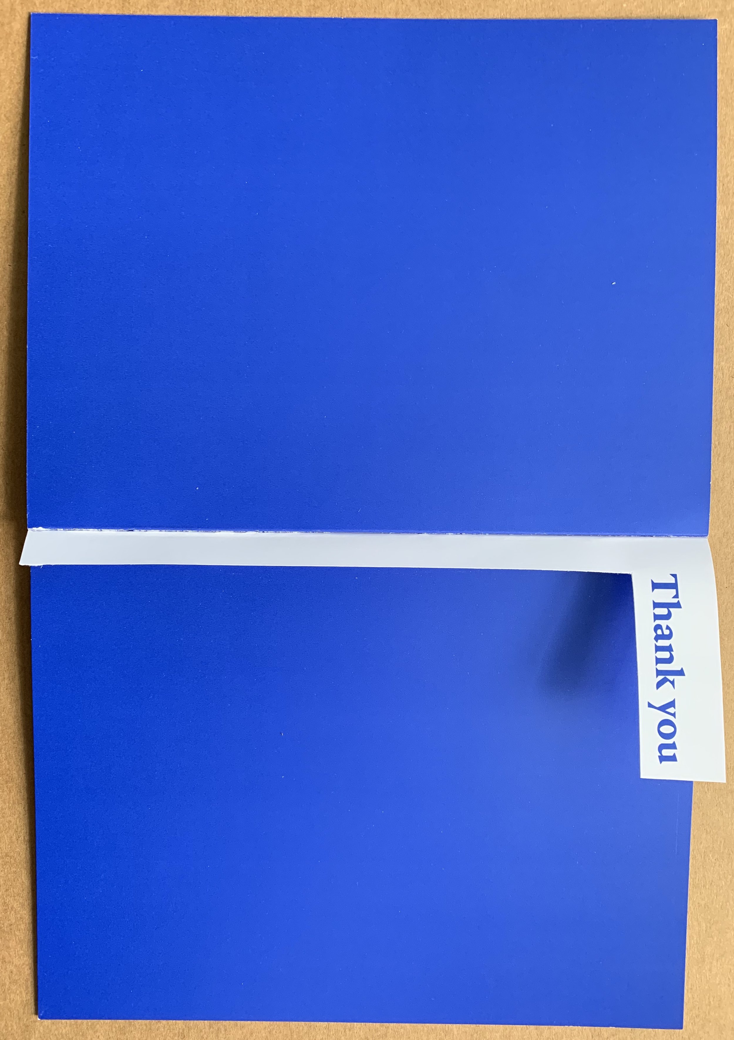 4CFFE508-E257-4EB4-AE66-AB267203DE36.jpeg