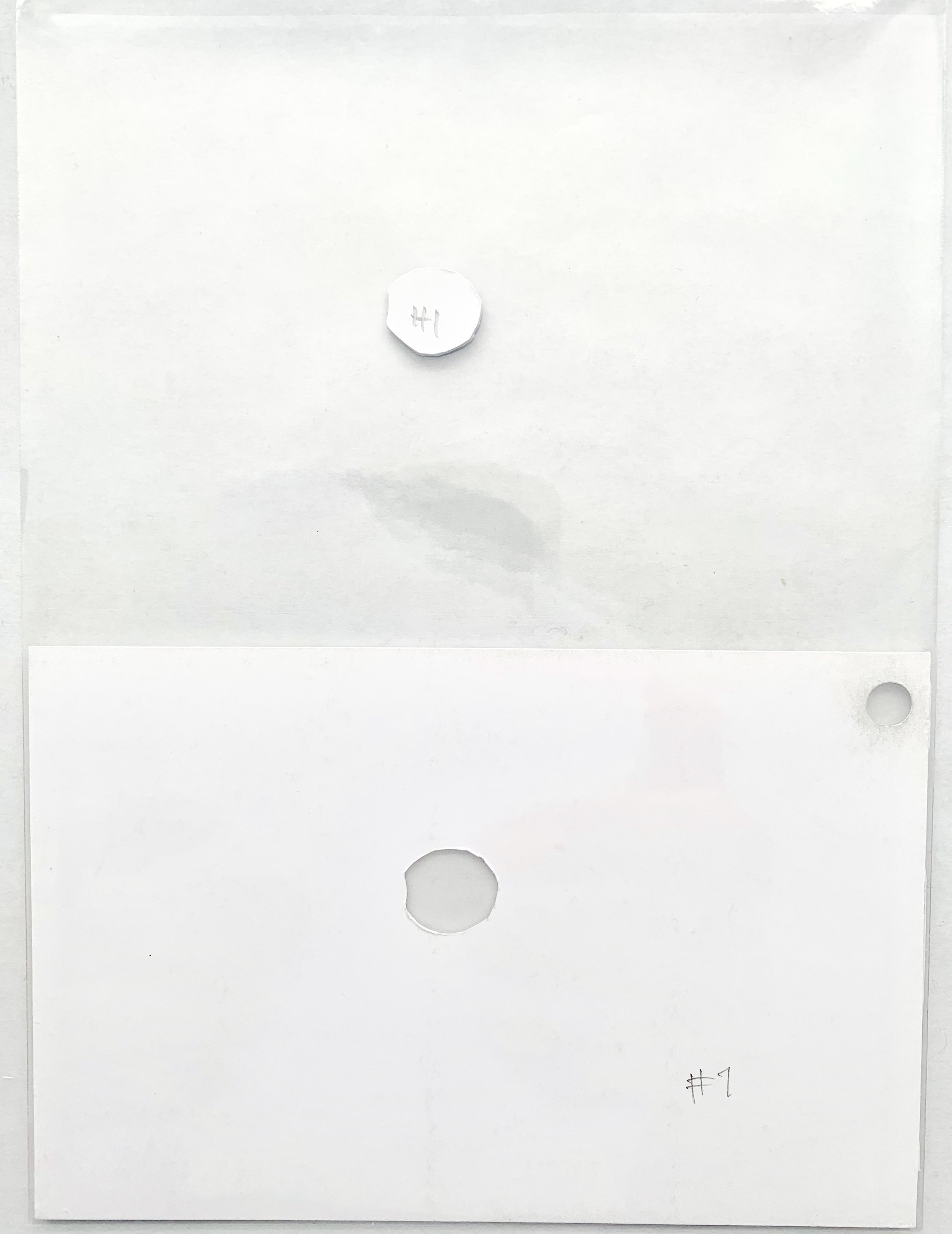 20636A4A-C9DF-4E9A-8772-15998B41F681.jpeg