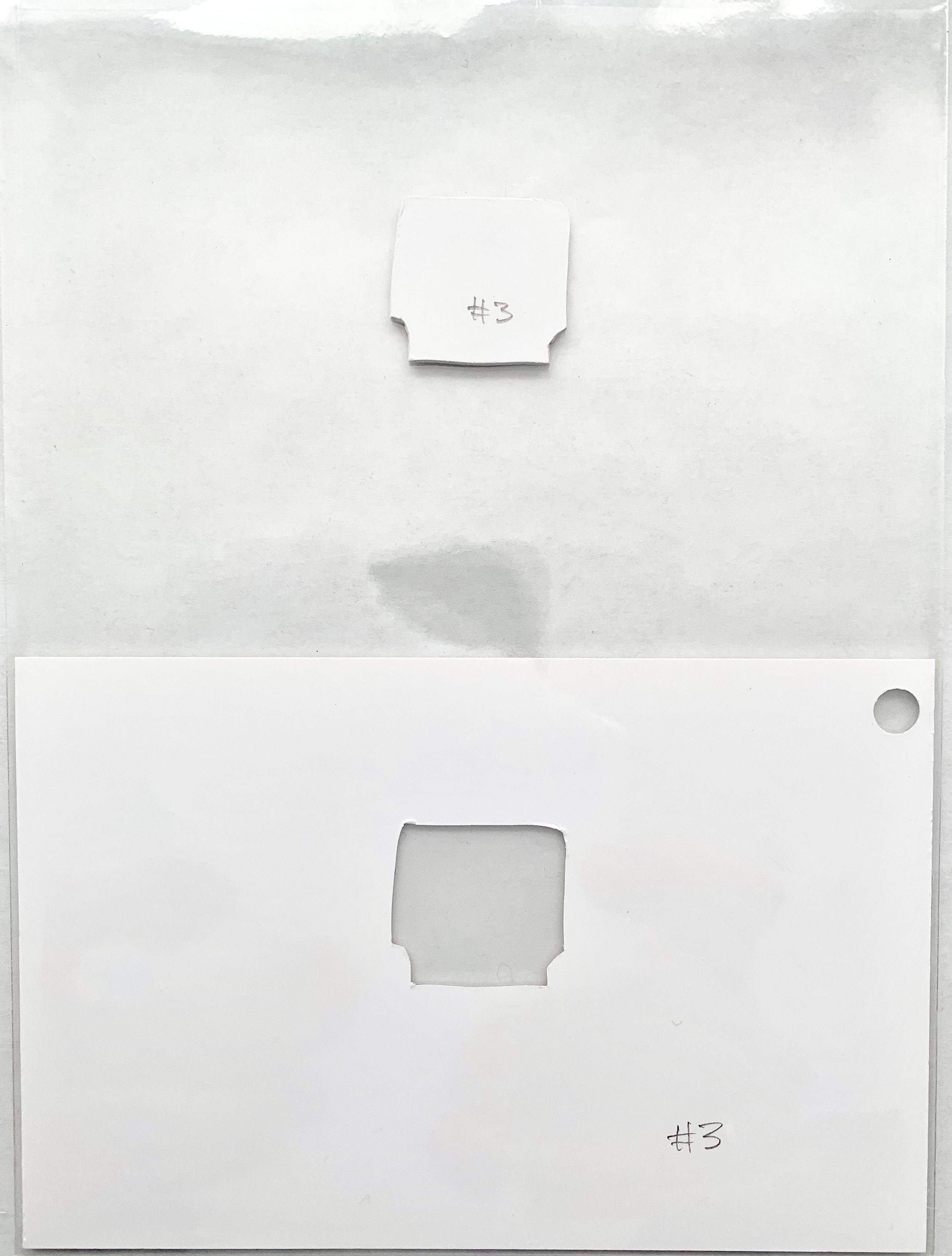 C6FD0428-ABF1-495C-9786-7298E4936233.jpeg