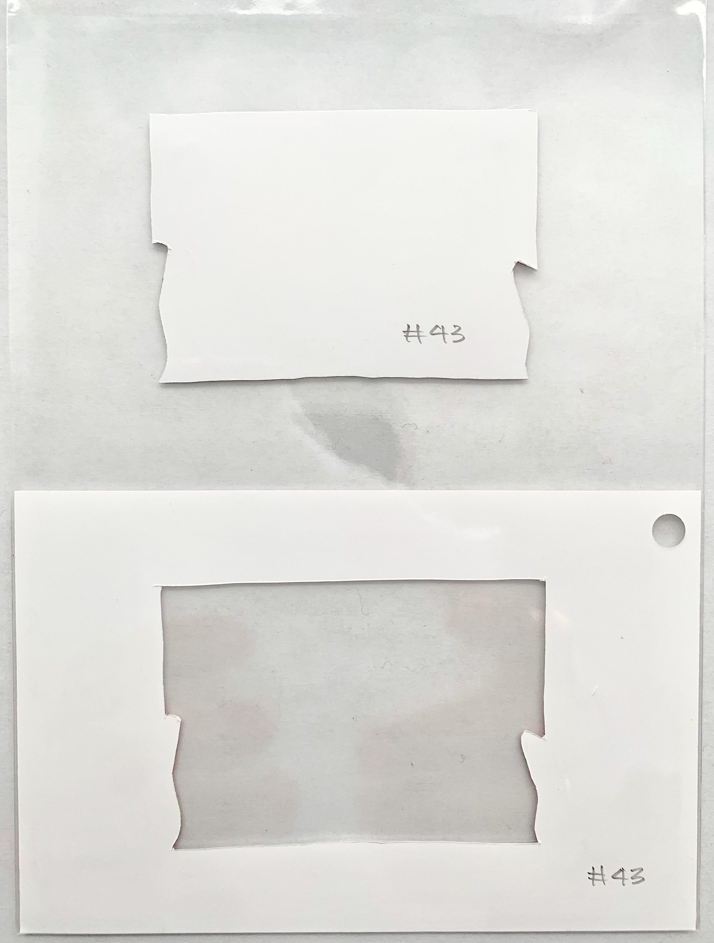 02B3E294-F6FA-40BC-B1B2-54E8051DB3A8.jpeg