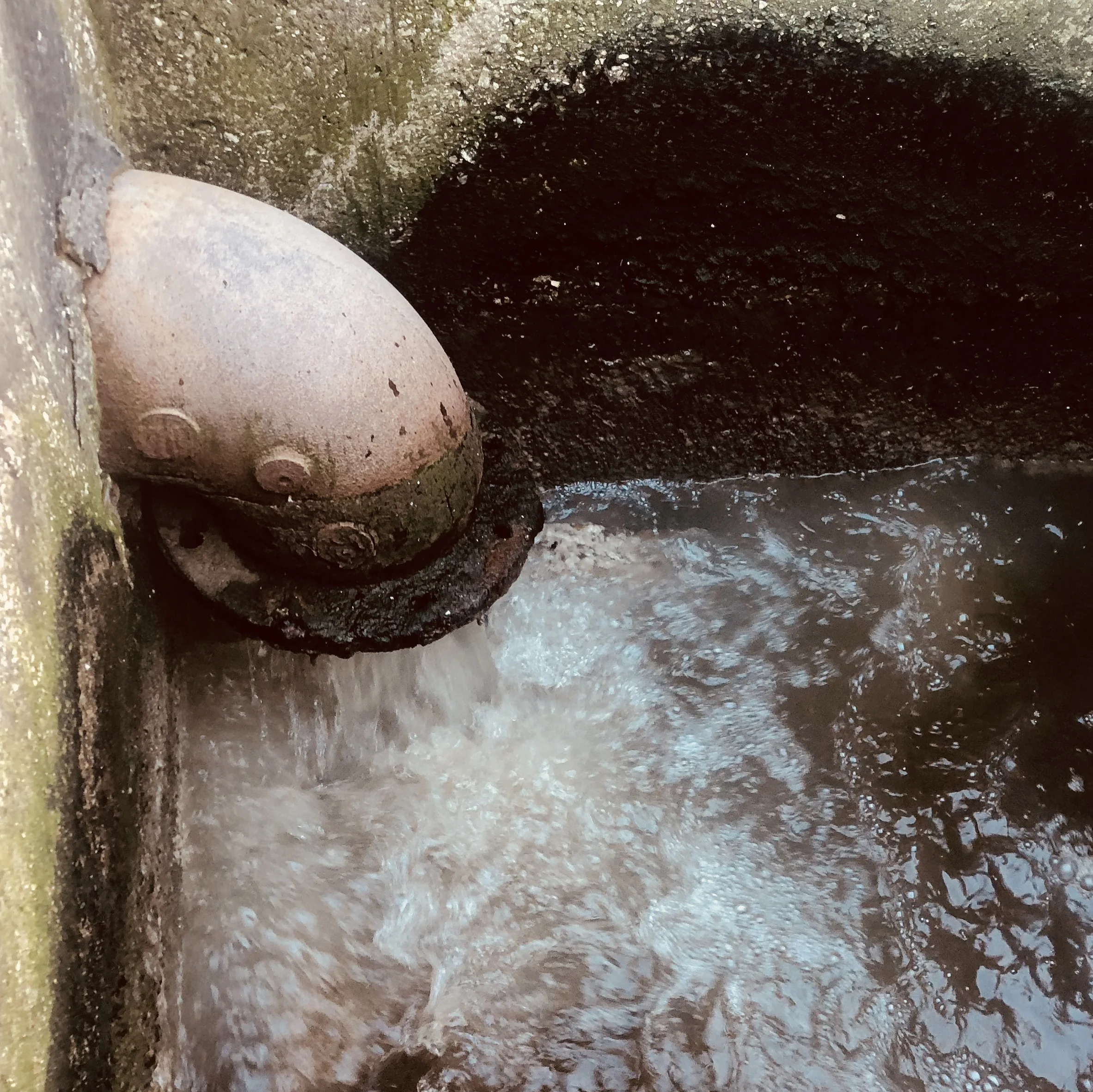 Pipe.jpg