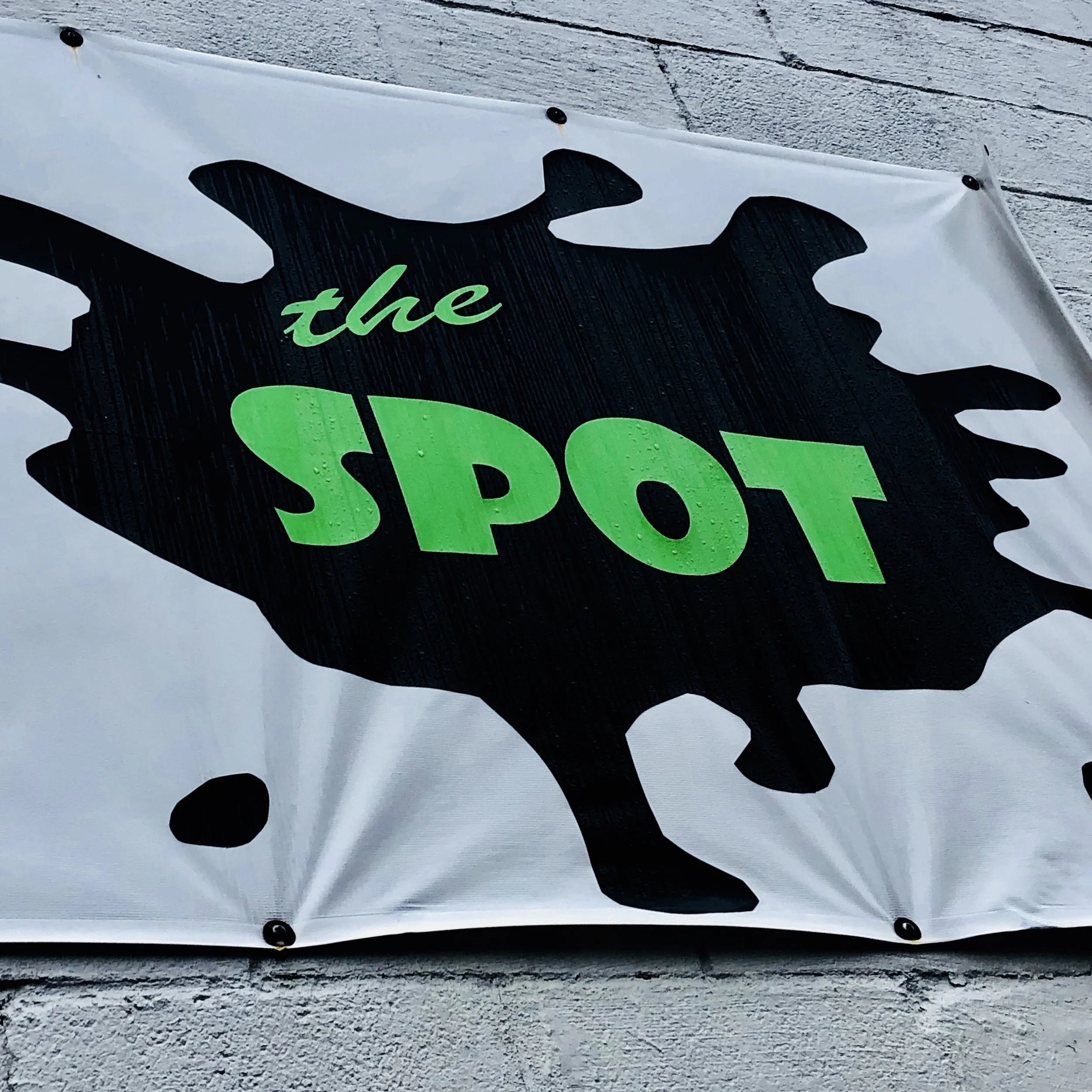 Spot1.jpg