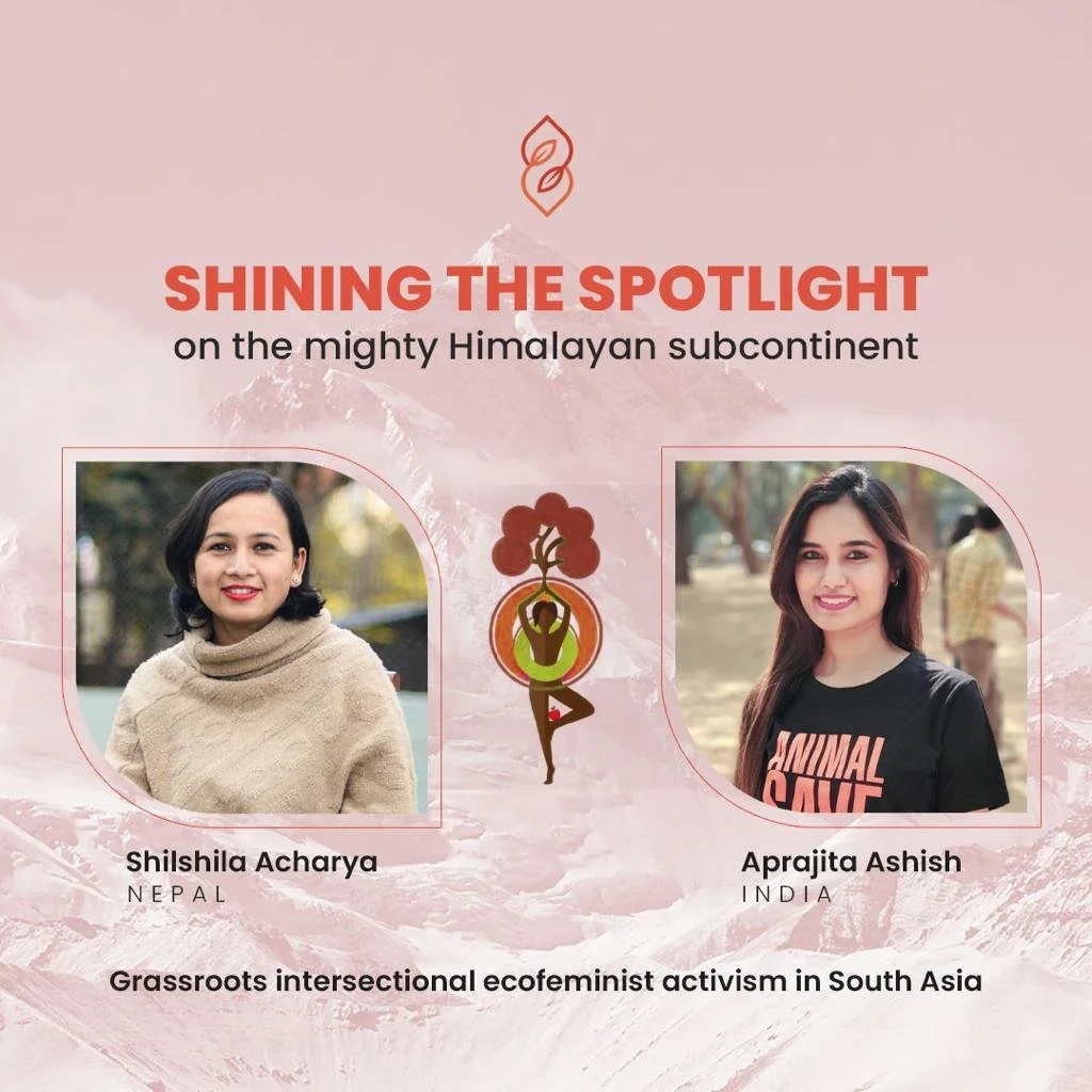 Shining the spotlight on the mighty Himalayan subcontinent: Grassroots intersectional ecofeminist activism in South Asia