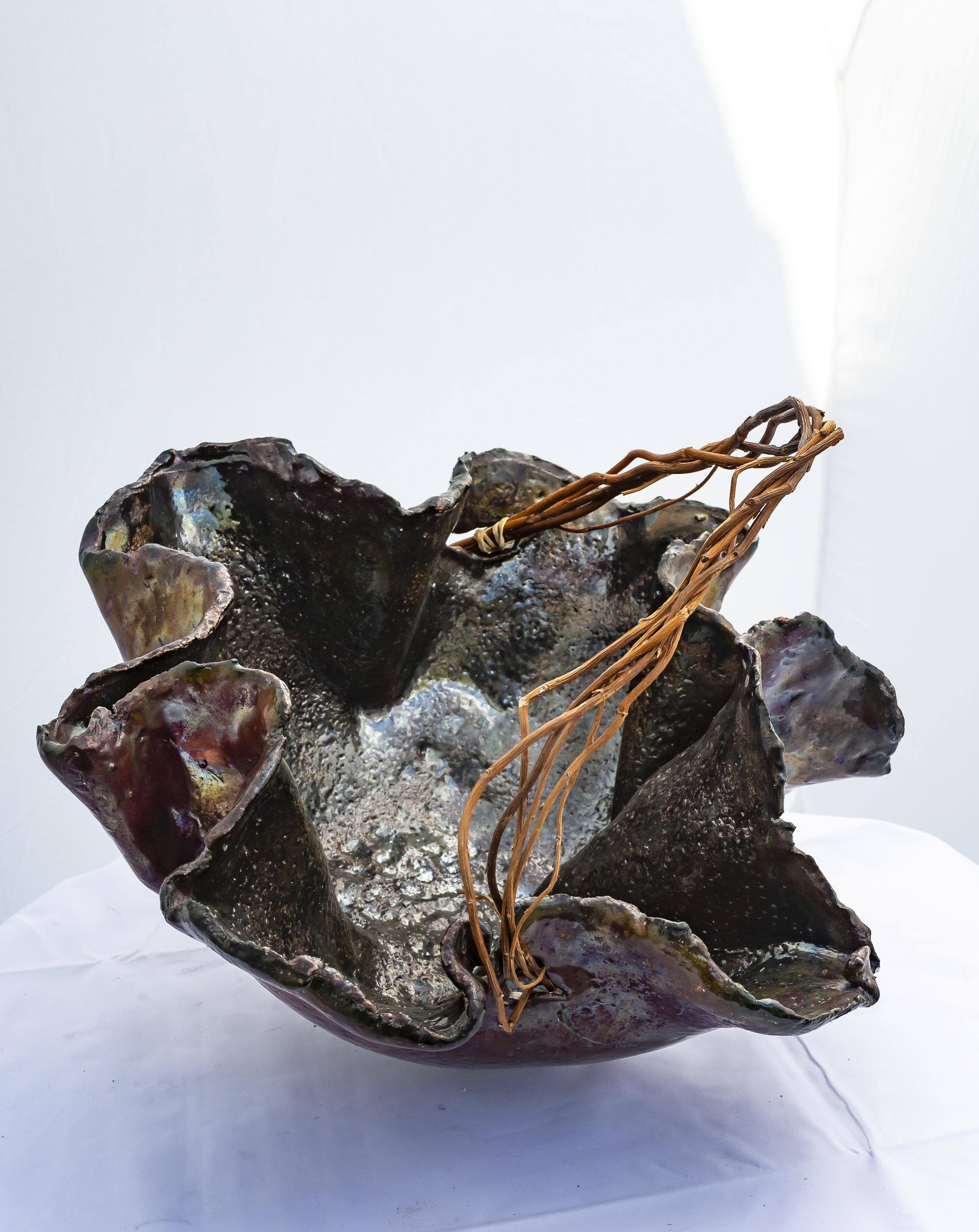 Donna Glass-56.jpg