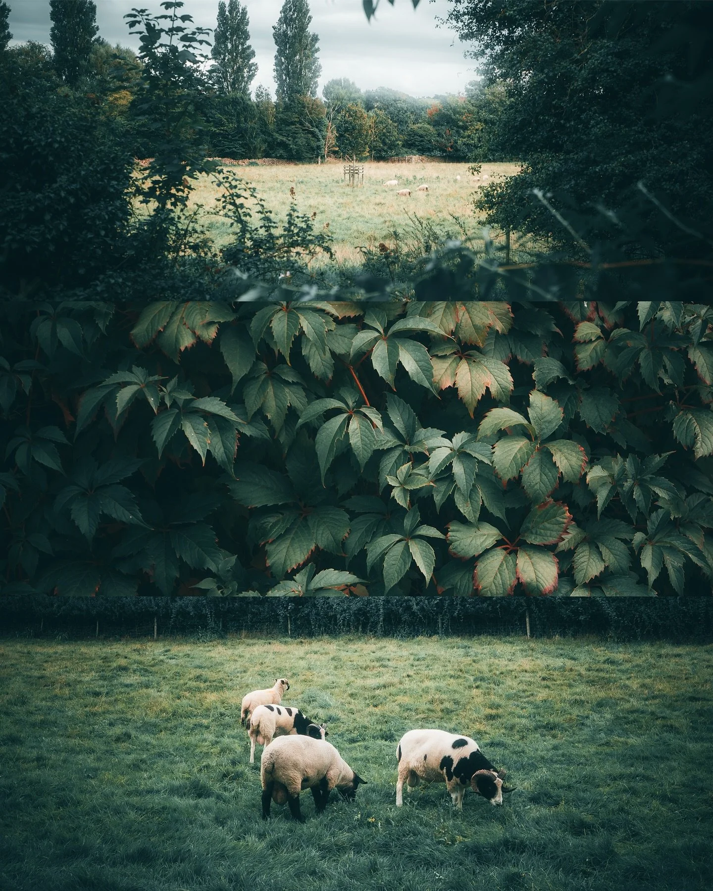 Quick England stack. It&rsquo;s a different kind of green out here.

#visitbritain #thisisengland #visitengland