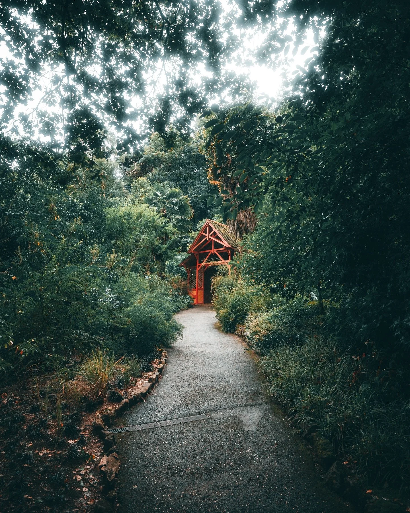 The greens of the Abbotsbury gardens. So many good moments from a trip back home.

#visitdorset #southengland #britishcoast