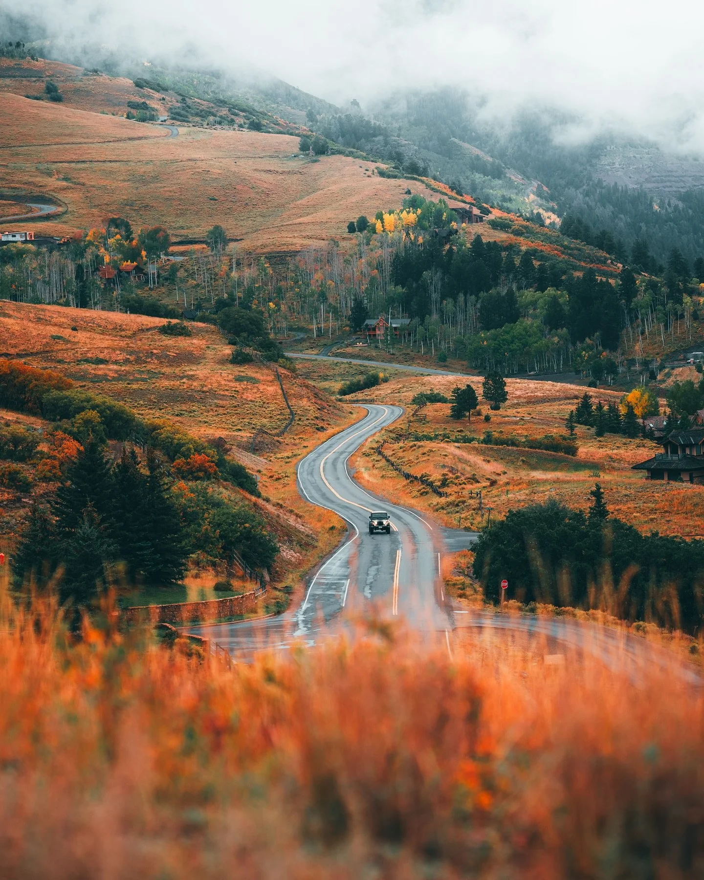 Aaaand just like that, it&rsquo;s puffy weather and the leaves are changing. Favorite time of the year activated.

#visittelluride #colorfulcolorado #fallvibes