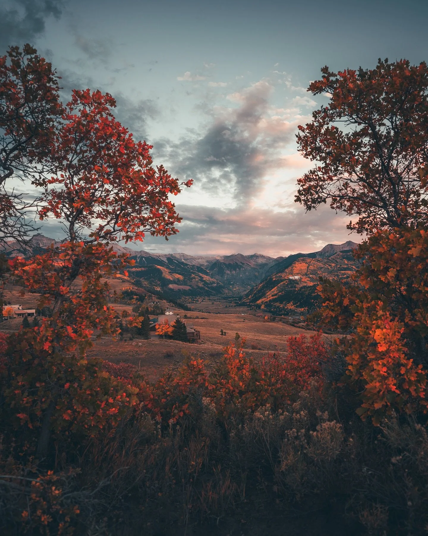 Leaf peepin at the finest time of the year.

#telluride #telluridecolorado #visittelluride
