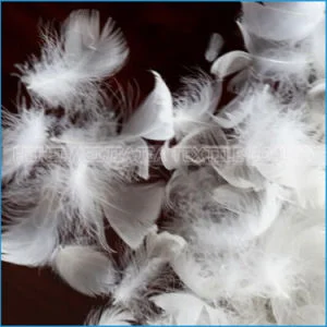 down feather fill