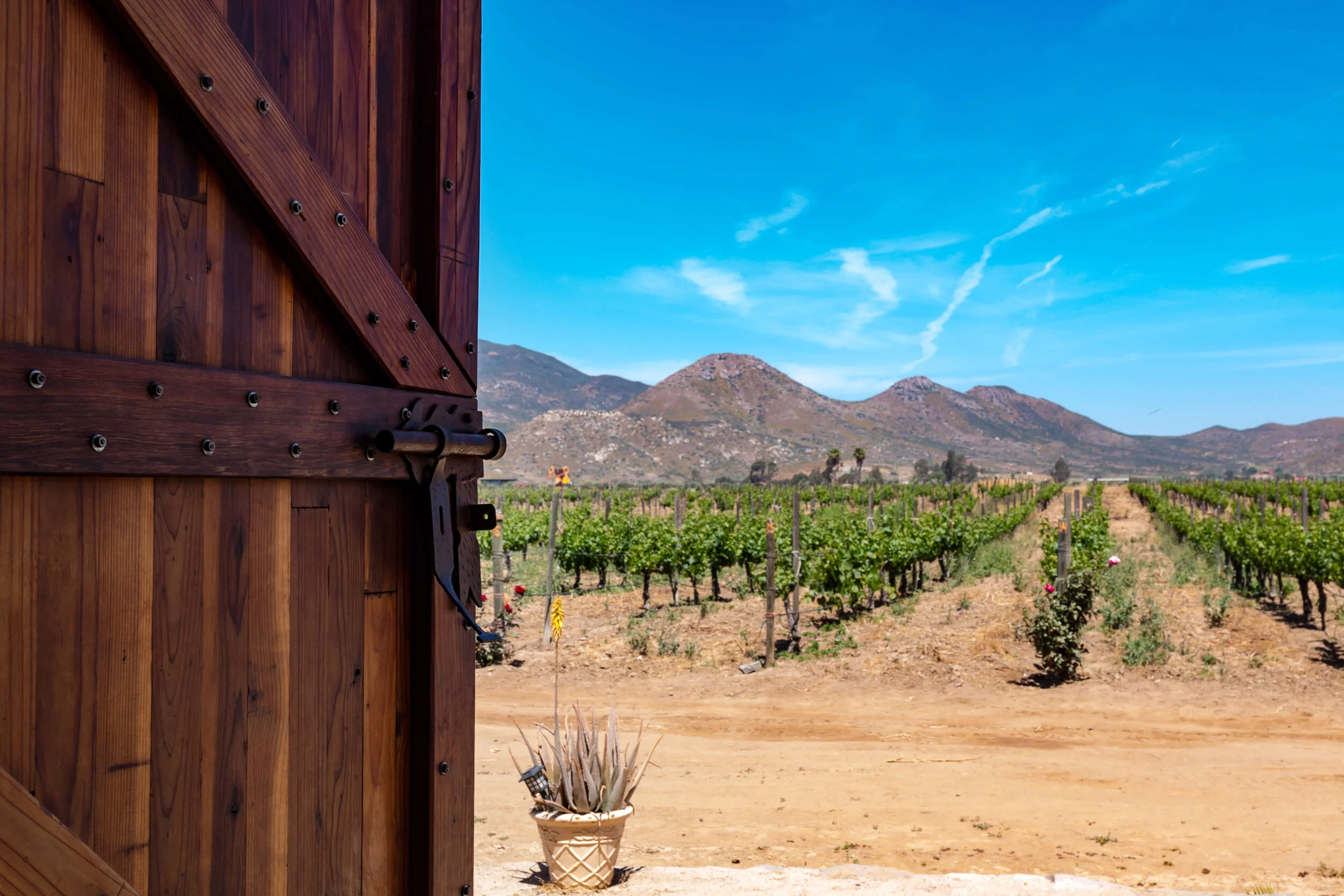 Valle de Guadalupe