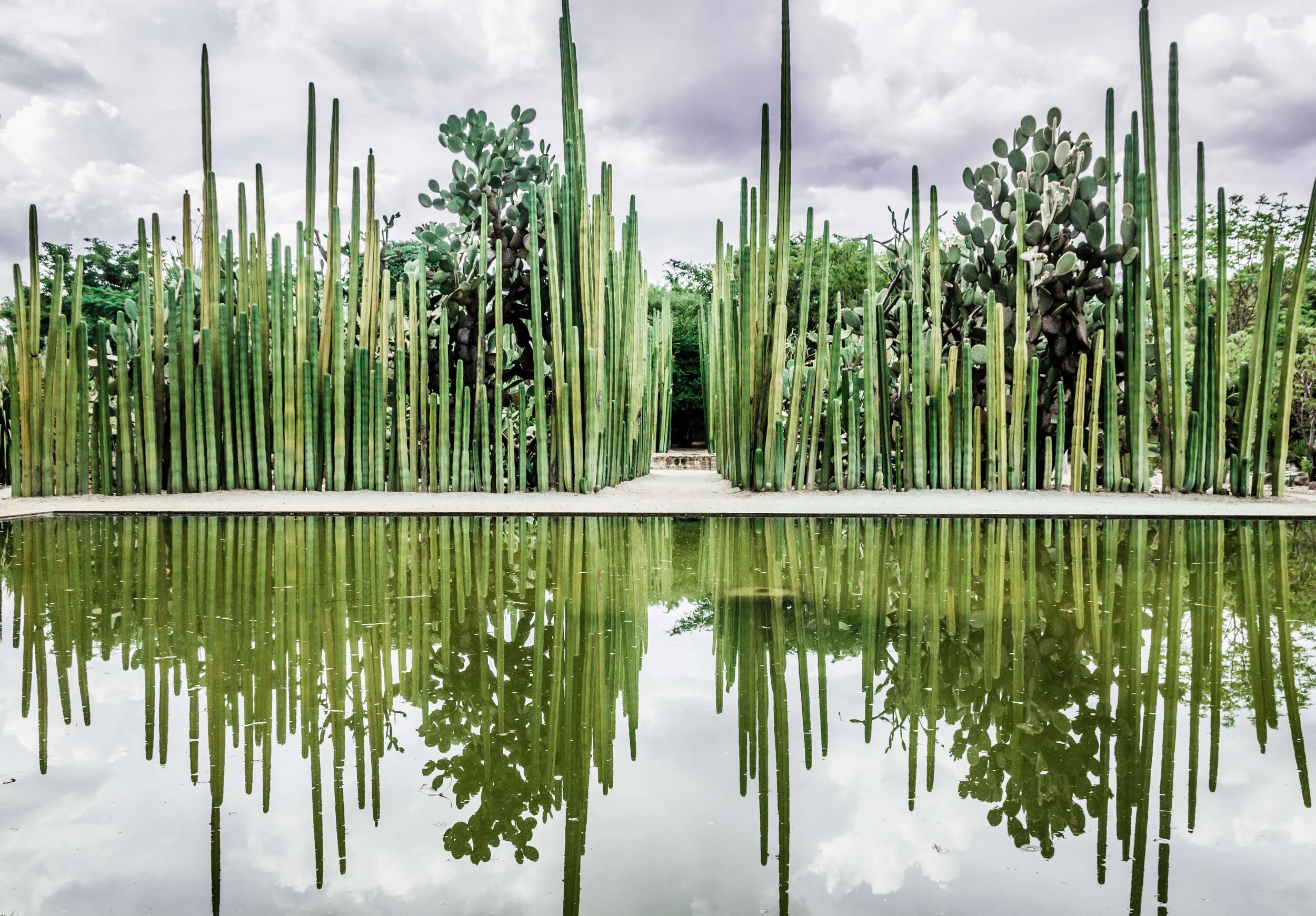 Ethnobotanical Gardens